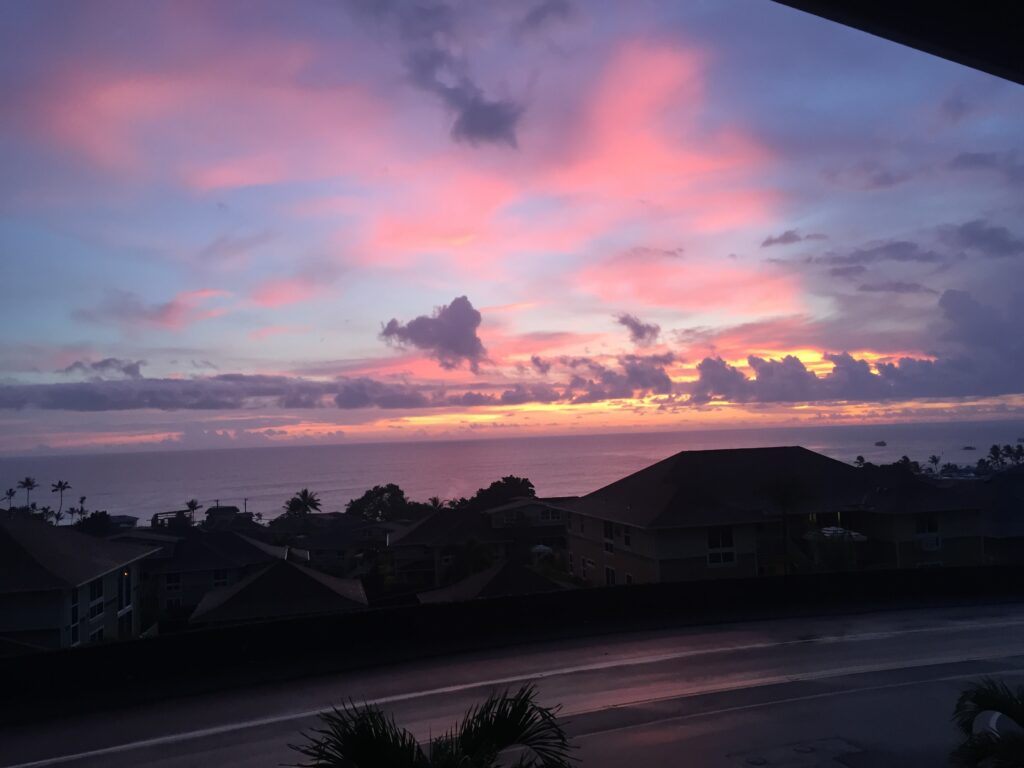 View from the shop in Hawaii. 