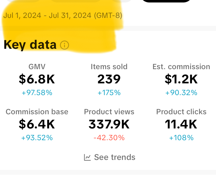July TikTok Income